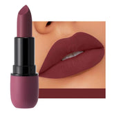 Silk Touch Matte Lipstick for Women - Smooth, Non-Caked, Non-Greasy Lip Makeup - 3.5G D